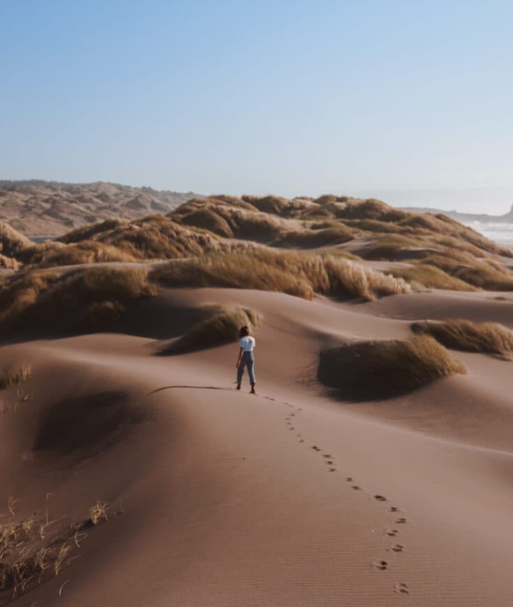 Armin Besi marka logosu